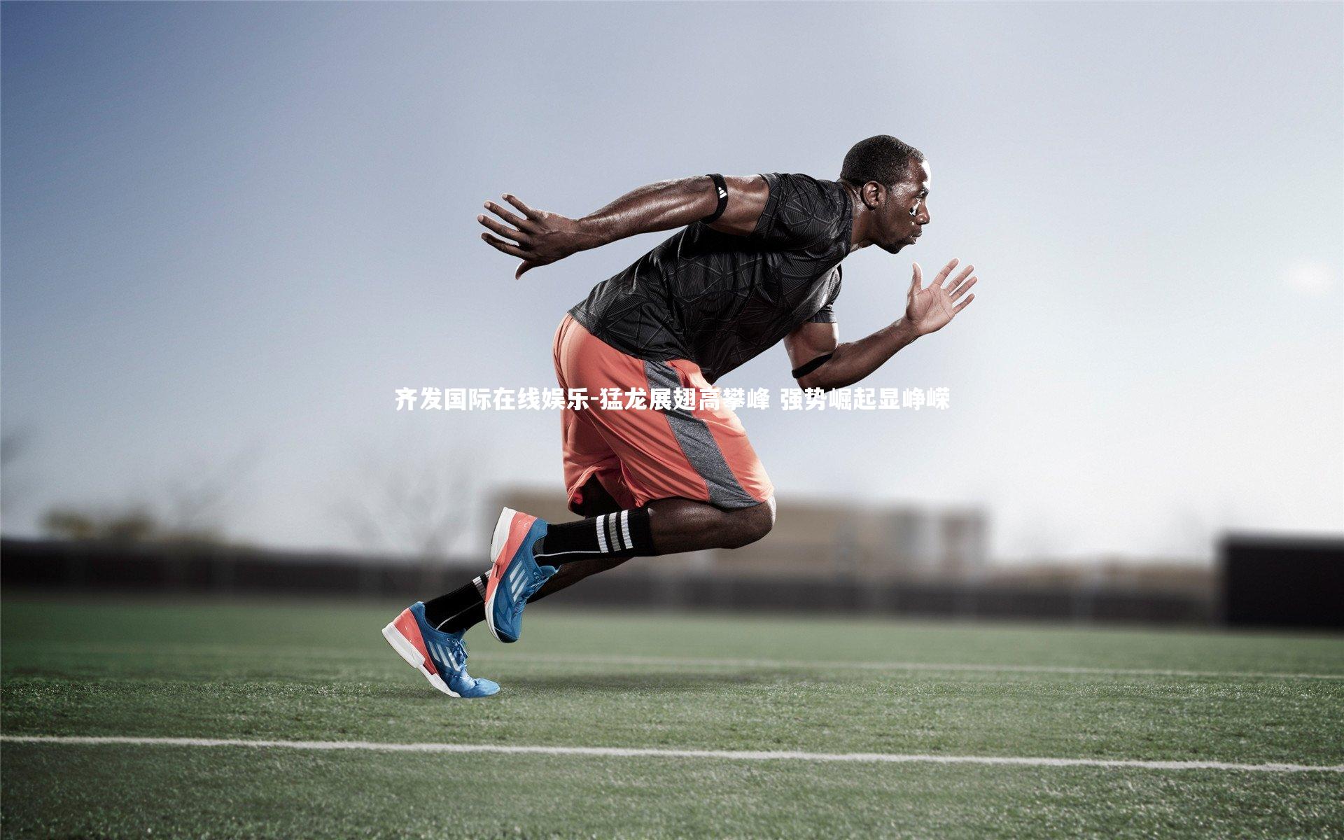 猛龙展翅高攀峰 强势崛起显峥嵘